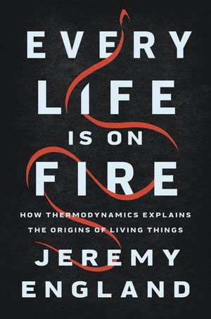 Every Life Is on Fire: How Thermodynamics Explains the Origins of Living Things image number 0