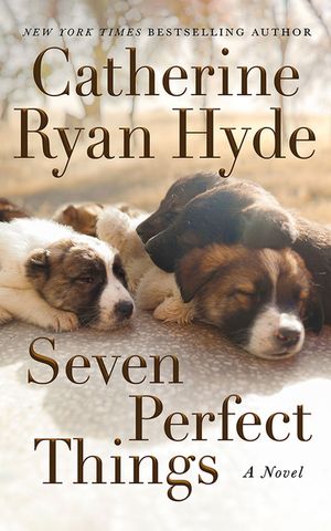 Seven Perfect Things image number 0