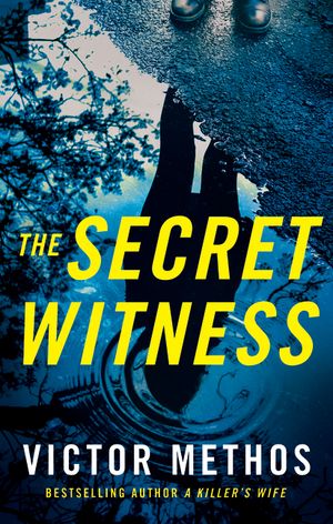 The Secret Witness image number 0