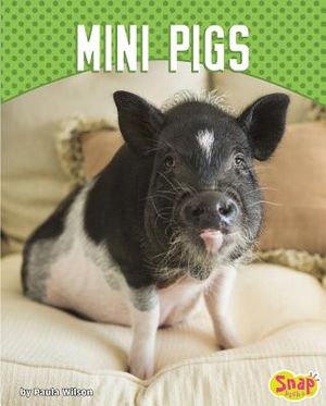 Mini Pigs image number 0