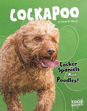 Cockapoo: Cocker Spaniels Meet Poodles! image number 0