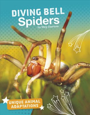 Diving Bell Spiders image number 0
