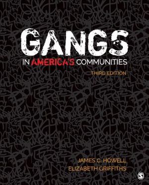 Gangs in America′s Communities image number 0