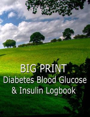 Big Print Diabetes Blood Sugar and Insulin Log image number 0