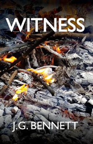 Witness: The Story of a Search image number 0
