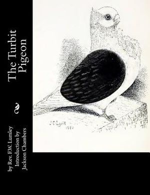 The Turbit Pigeon image number 0
