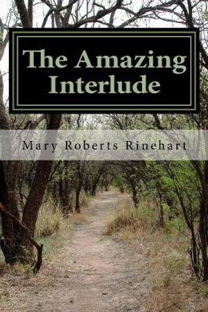 The Amazing Interlude image number 0