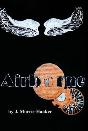 Airborne image number 0