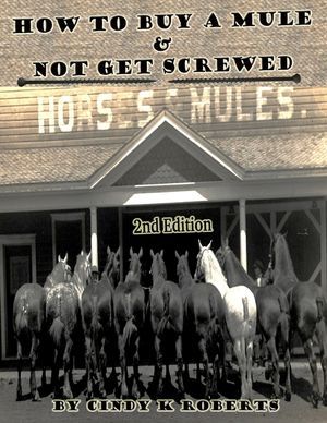 How To Buy A Mule & Not Get Screwed image number 0