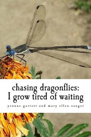 chasing dragonflies: I grow tired of waiting image number 0