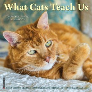 What Cats Teach Us 2026 7 X 7 Mini Wall Calendar image number 0