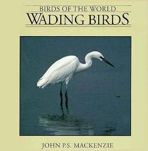 Wading Birds image number 0