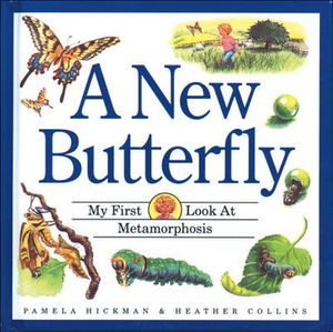 A New Butterfly image number 0