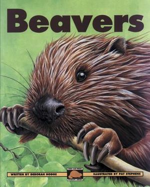 Beavers image number 0