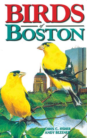 Birds of Boston image number 0