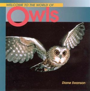 Welcome to the World of Owls image number 0