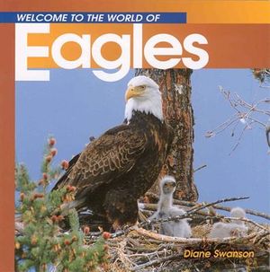 Welcome to the World of Eagles image number 0