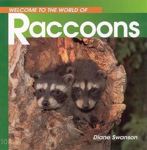 Welcome to the World of Raccoons image number 0