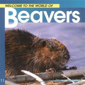 Welcome to the World of Beavers image number 0