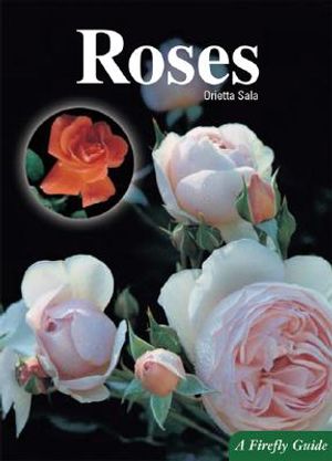 Roses image number 0