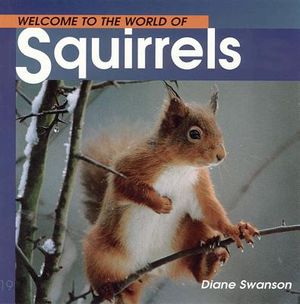 Welcome to the World of Squirrels image number 0