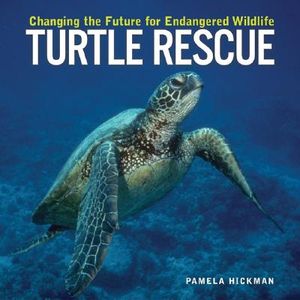 Turtle Rescue: Changing the Future for Endangered Wildlife image number 0
