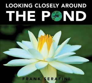 Looking Closely Around the Pond image number 0