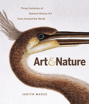 Art and Nature: Three Centuries of Natural History Art from Around the World image number 0