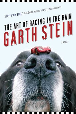 Art of Racing in the Rain image number 0
