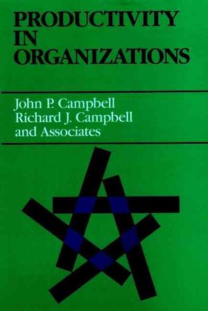 Productivity in Organizations: New Perspectives from Industrial and Organizational Psychology image number 0