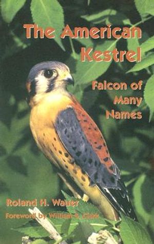 The American Kestrel: Falcon of Many Names image number 0