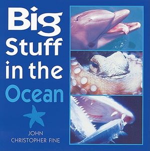 Big Stuff in the Ocean image number 0