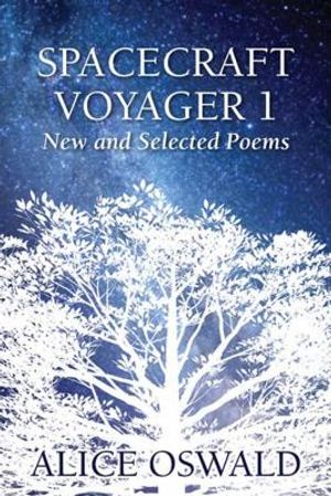 Spacecraft Voyager 1: New and Selected Poems image number 0