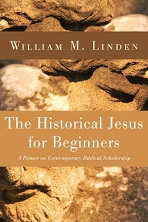 The Historical Jesus for Beginners image number 0