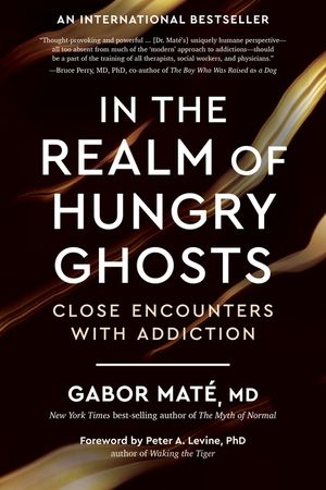 In the Realm of Hungry Ghosts: Close Encounters with Addiction image number 0