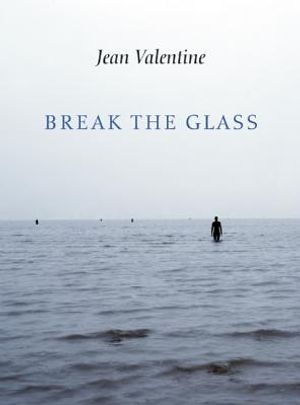 Break the Glass image number 0