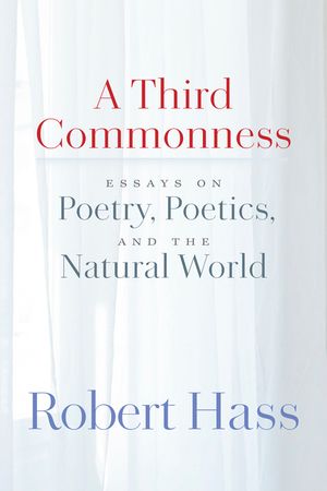 Third Commonness: Essays on Poetry image number 0