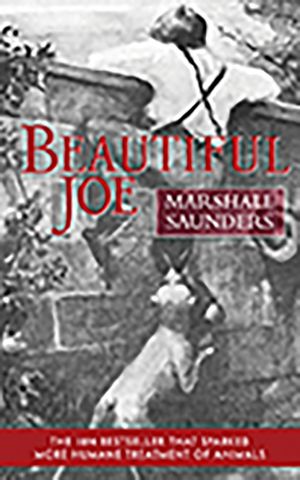 Beautiful Joe (Paperback) image number 0
