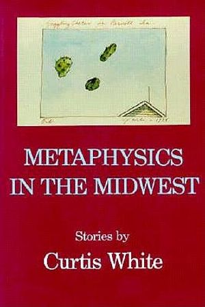 Metaphysics in the Midwest image number 0