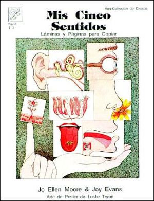 MIS Cinco Sentidos image number 0