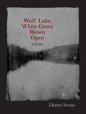Wolf Lake, White Gown Blown Open: Poems image number 0