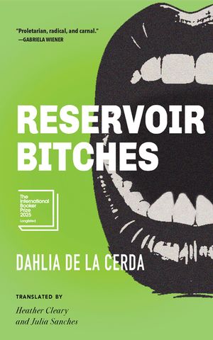 Reservoir Bitches: Stories image number 0