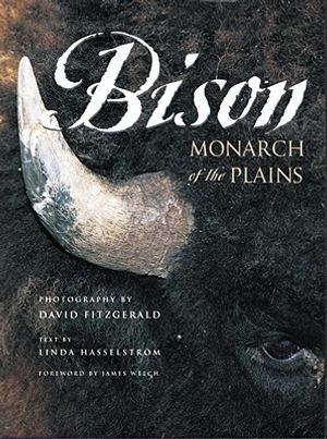 Bison: Monarch of the Plains image number 0
