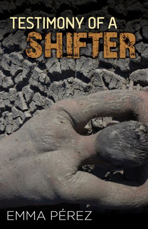 Chronicle of a Shifter image number 0
