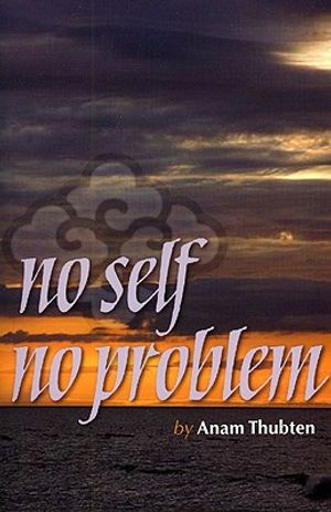 No Self No Problem image number 0