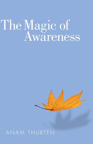 The Magic of Awareness image number 0