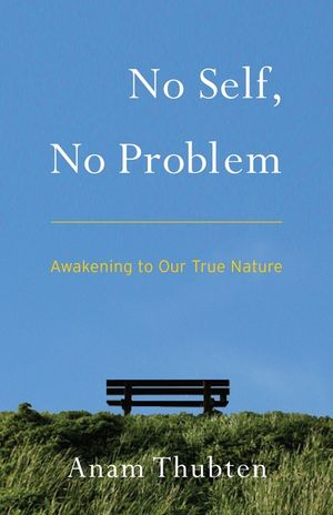 No Self, No Problem: Awakening to Our True Nature image number 0