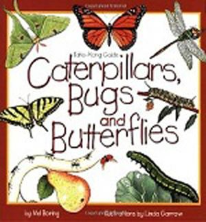 Caterpillars, Bugs and Butterflies: Take-Along Guide image number 0
