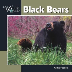 Black Bear image number 0