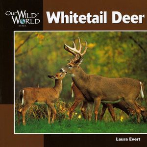 Whitetail Deer image number 0